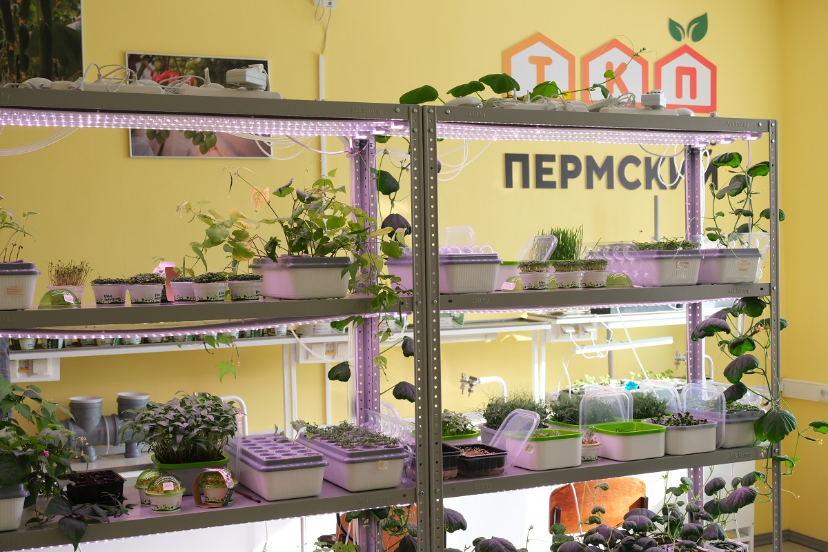 В Пермском крае откроют и оснастят семь агроклассов