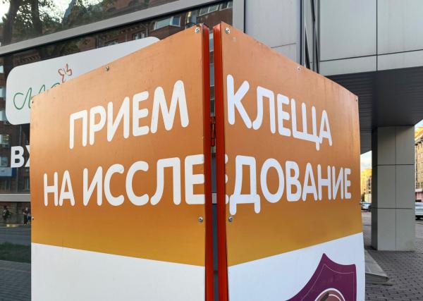В Пермском крае зарегистрировано свыше 15,8 тысяч случаев укусов клещей