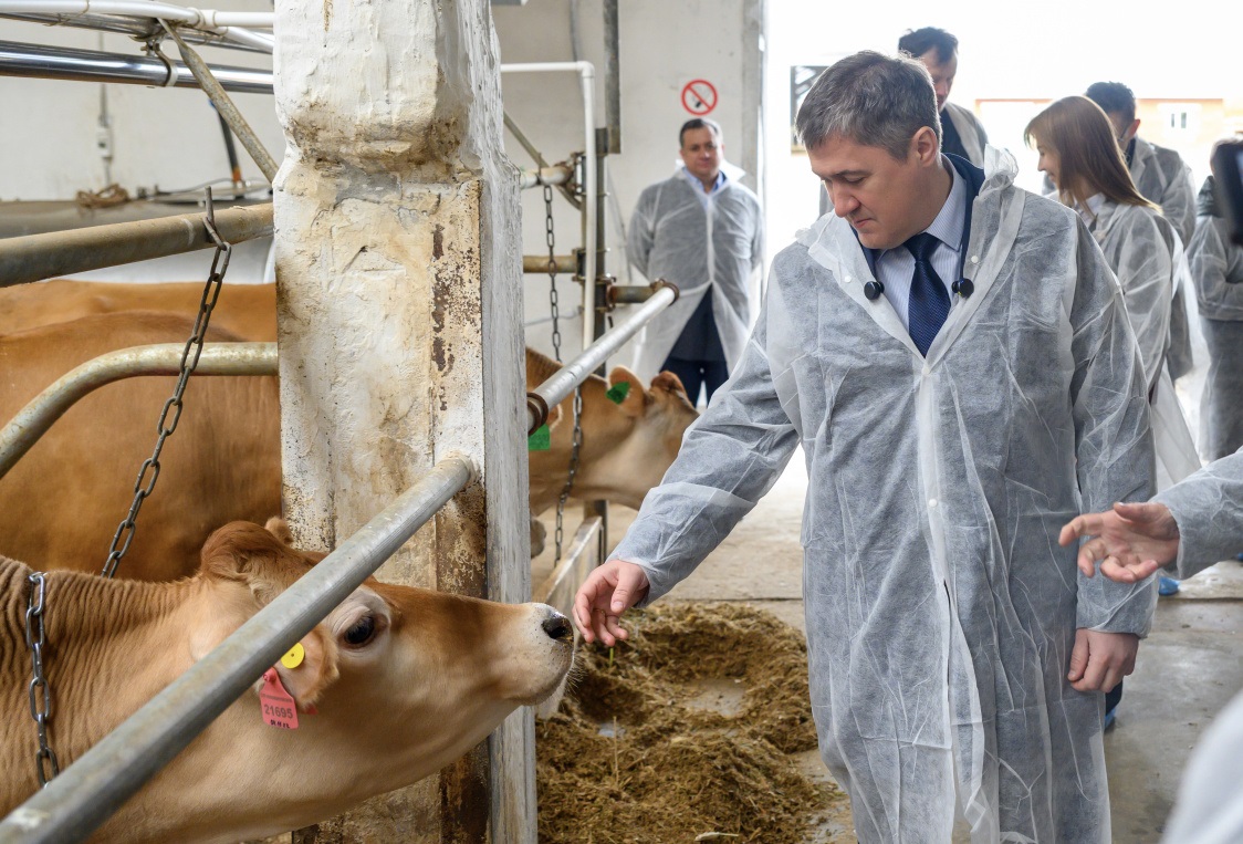 В Чернушинском округе Пермского края два агропредприятия обновили производства