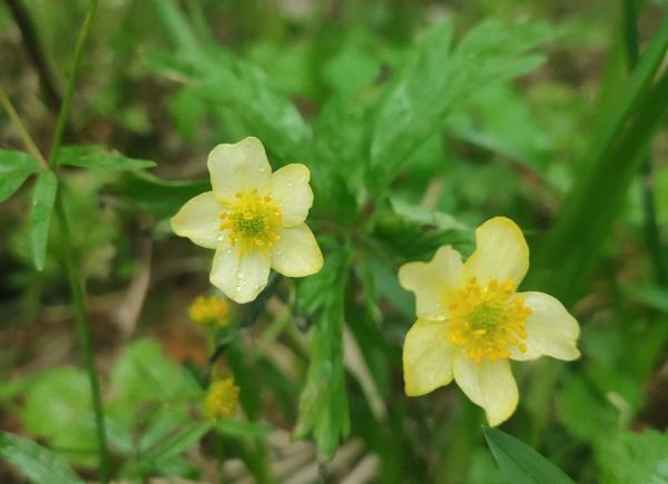 В Пермском крае апрель будет теплее нормы на 1-2 градуса