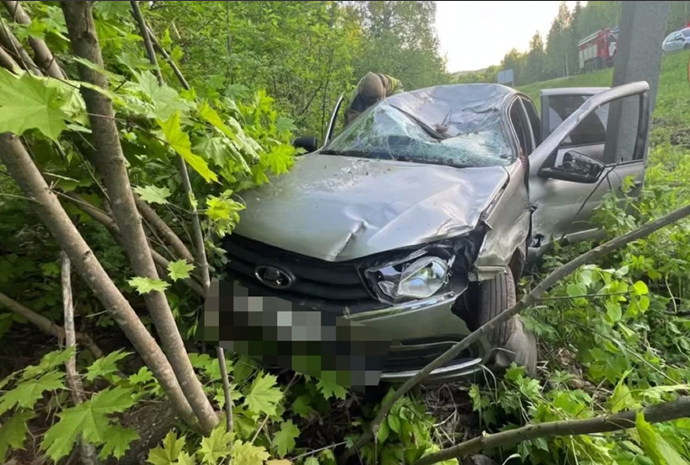 В Прикамье после столкновения с лосем погиб водитель «Лады Гранты»
