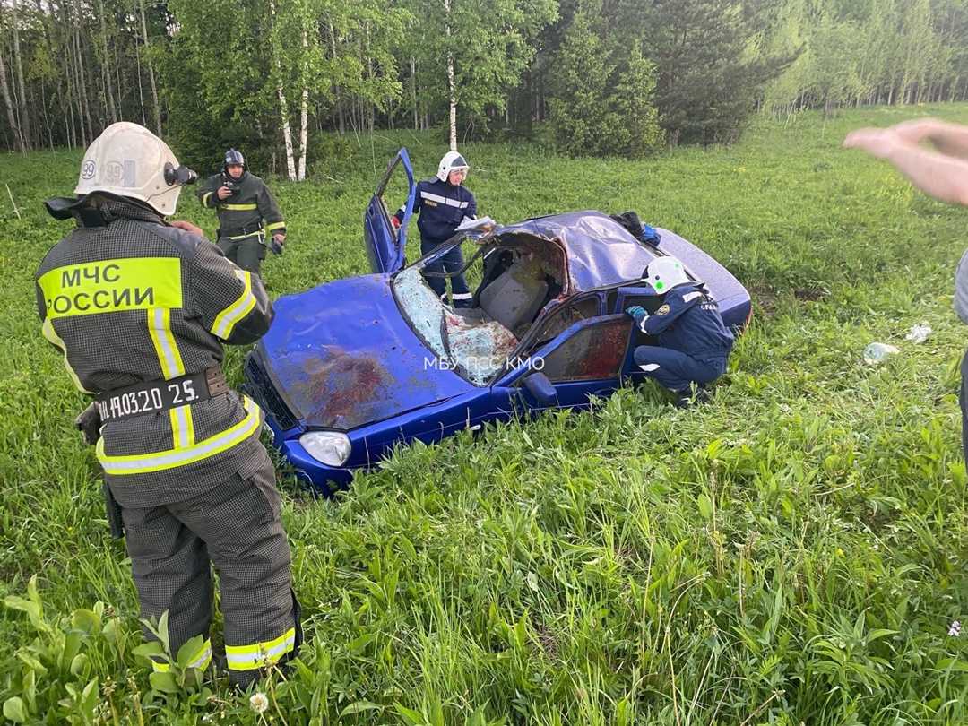 <div>В Прикамье вновь произошла авария с лосем</div>
