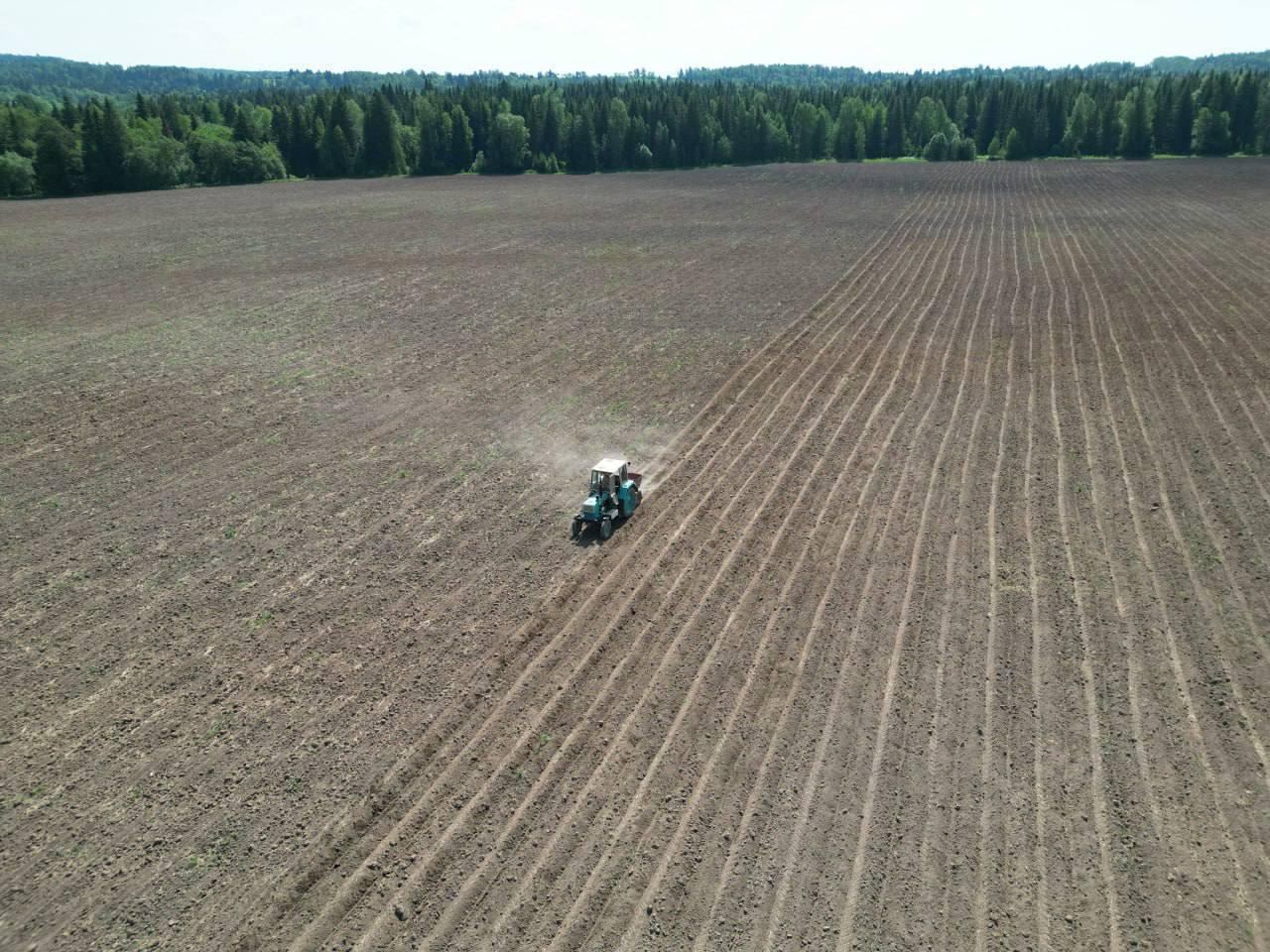 В Прикамье откроют завод по производству витаминно-травяной муки