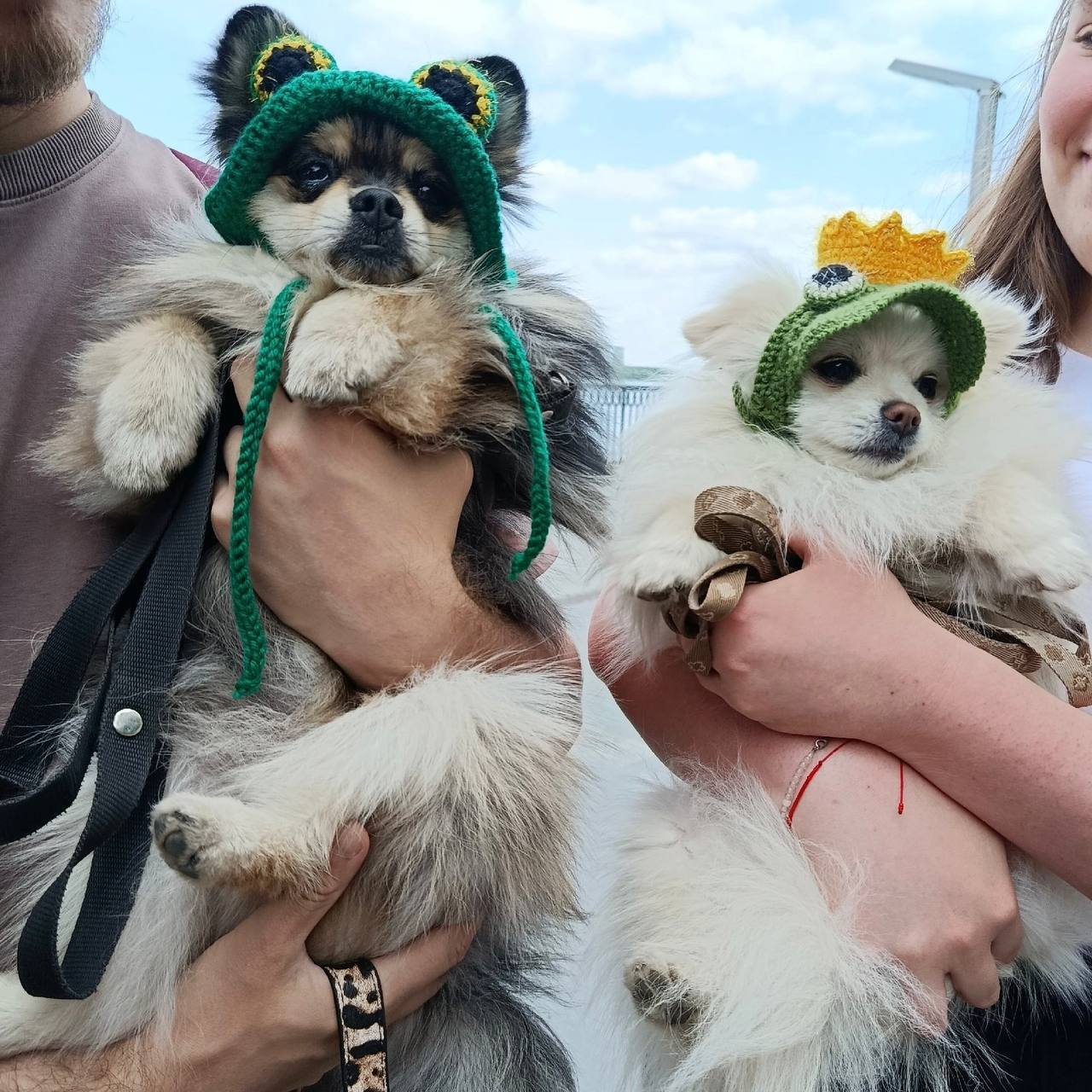 В Перми пройдёт вечеринка дог-френдли