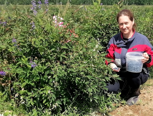 Грант «Агростартап» получат 14 проектов из Пермского края