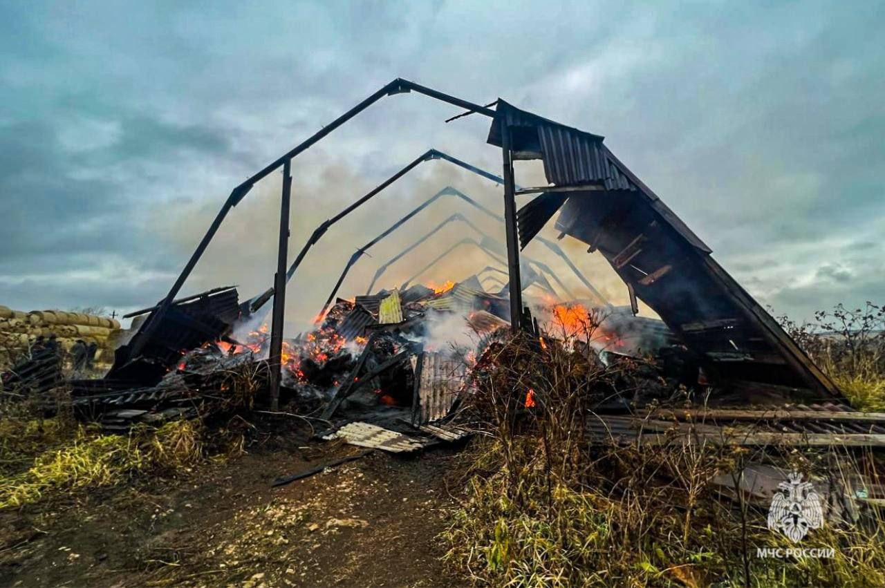 В Прикамье подросток случайно сжёг 180 тонн сена