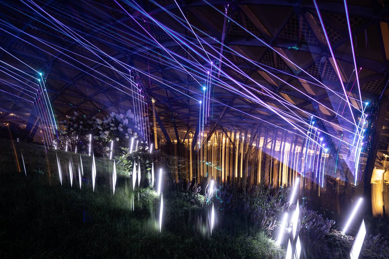 На фестивале в Перми вырастет «Сад света»