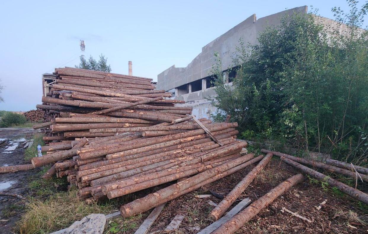 Главе Следственного комитета России будет доложено о расследовании гибели двух мальчиков в Пермском крае