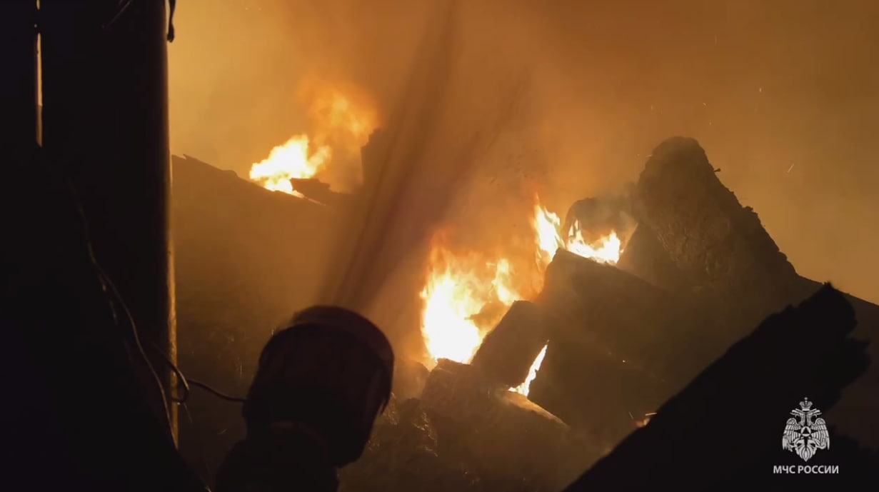 На крупном пожаре в Пермском крае спаслись два человека