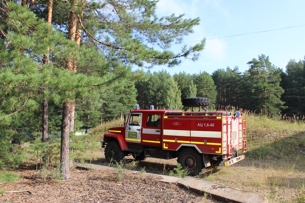 С начала лесопожарного сезона в Прикамье произошло 30 лесных возгораний