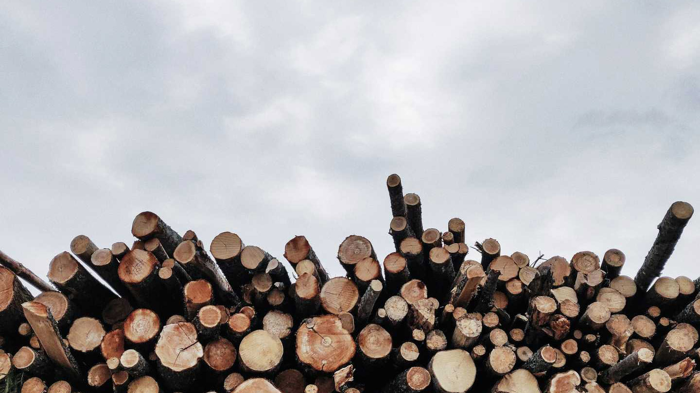 Движение на Восток