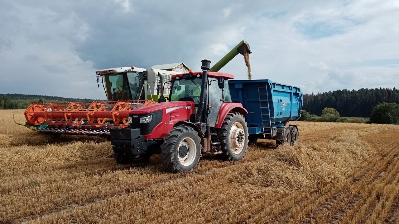 Урожай картофеля в Прикамье в середине уборочной кампании составляет 26,2 тысячи тонн