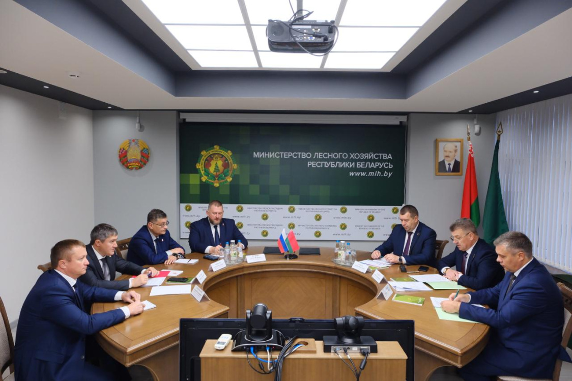 Пермский край и Республика Беларусь развивают сотрудничество в сфере лесного хозяйства