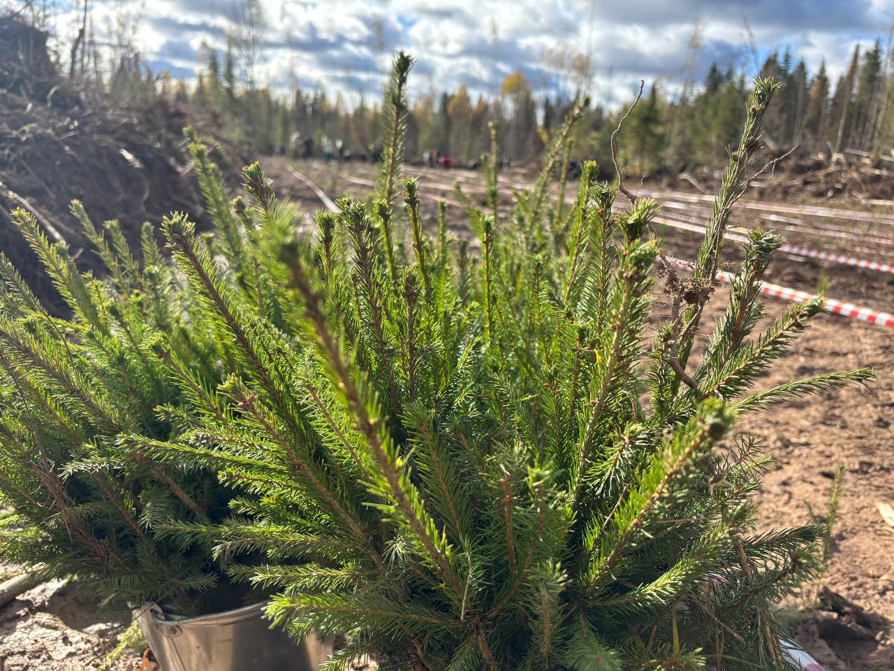 Память, видимая с высоты