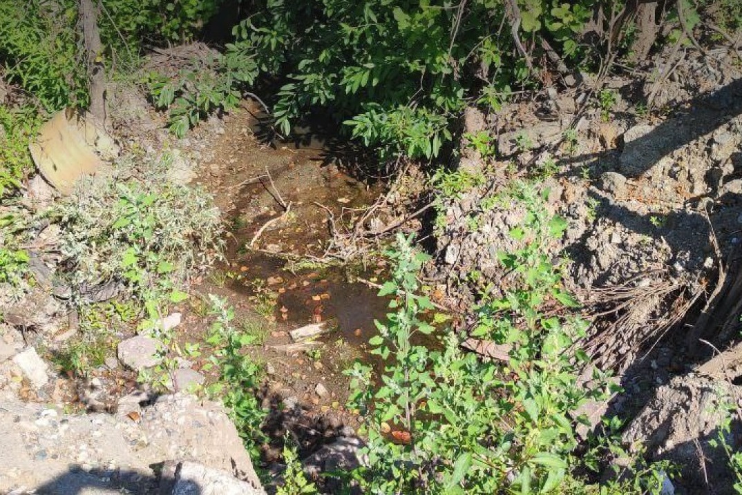 Пермяк загрязнил почву строительными отходами на 4,8 млн рублей ущерба