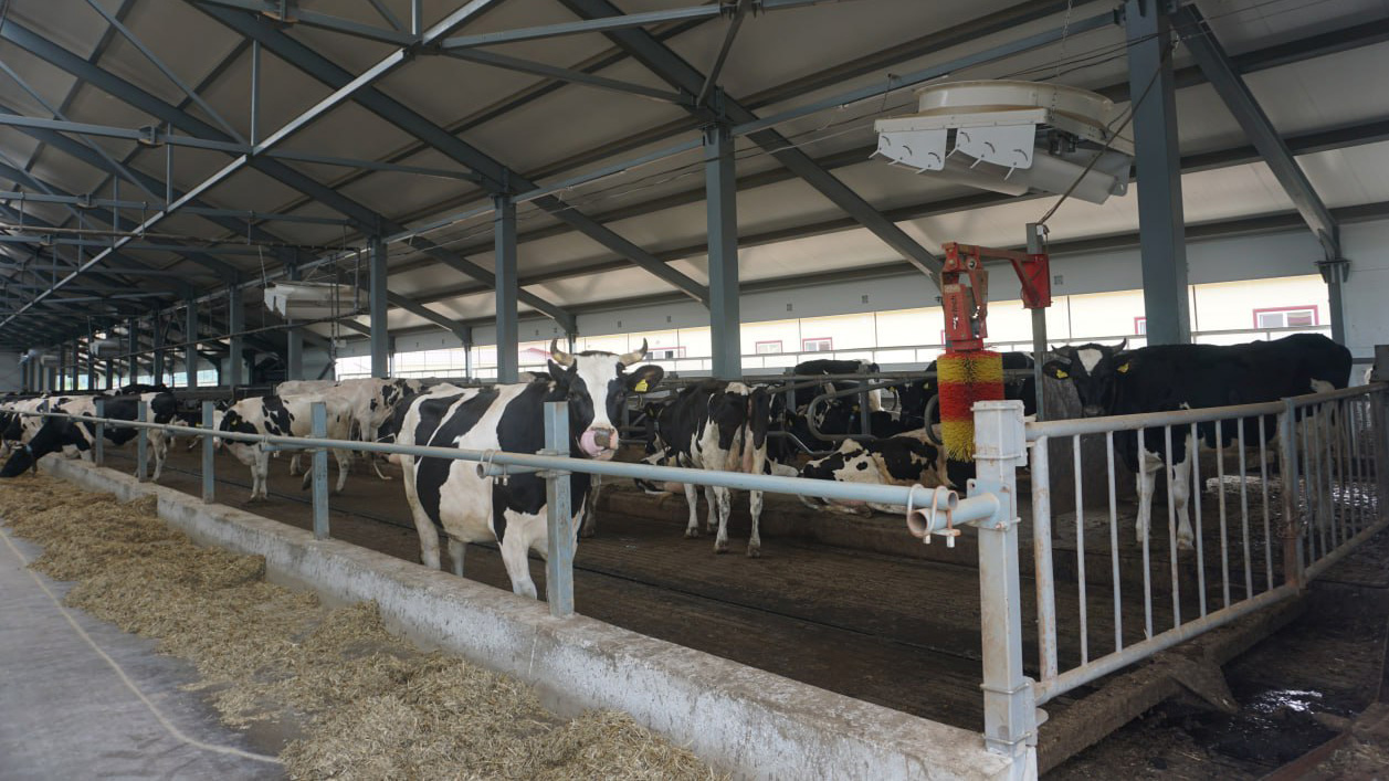 Новый шаг к конкурентоспособности