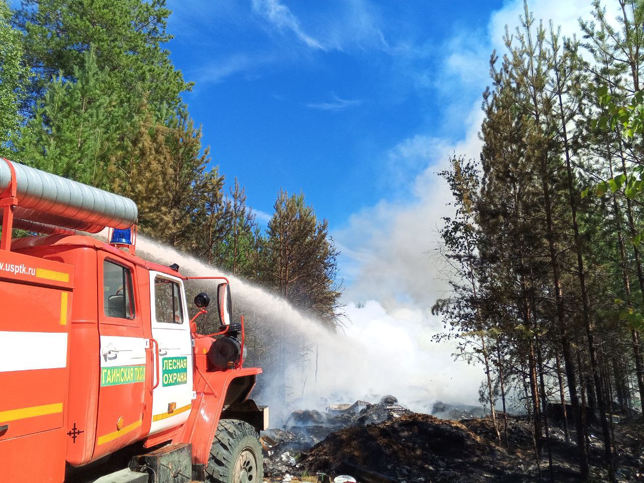 С земли и с неба