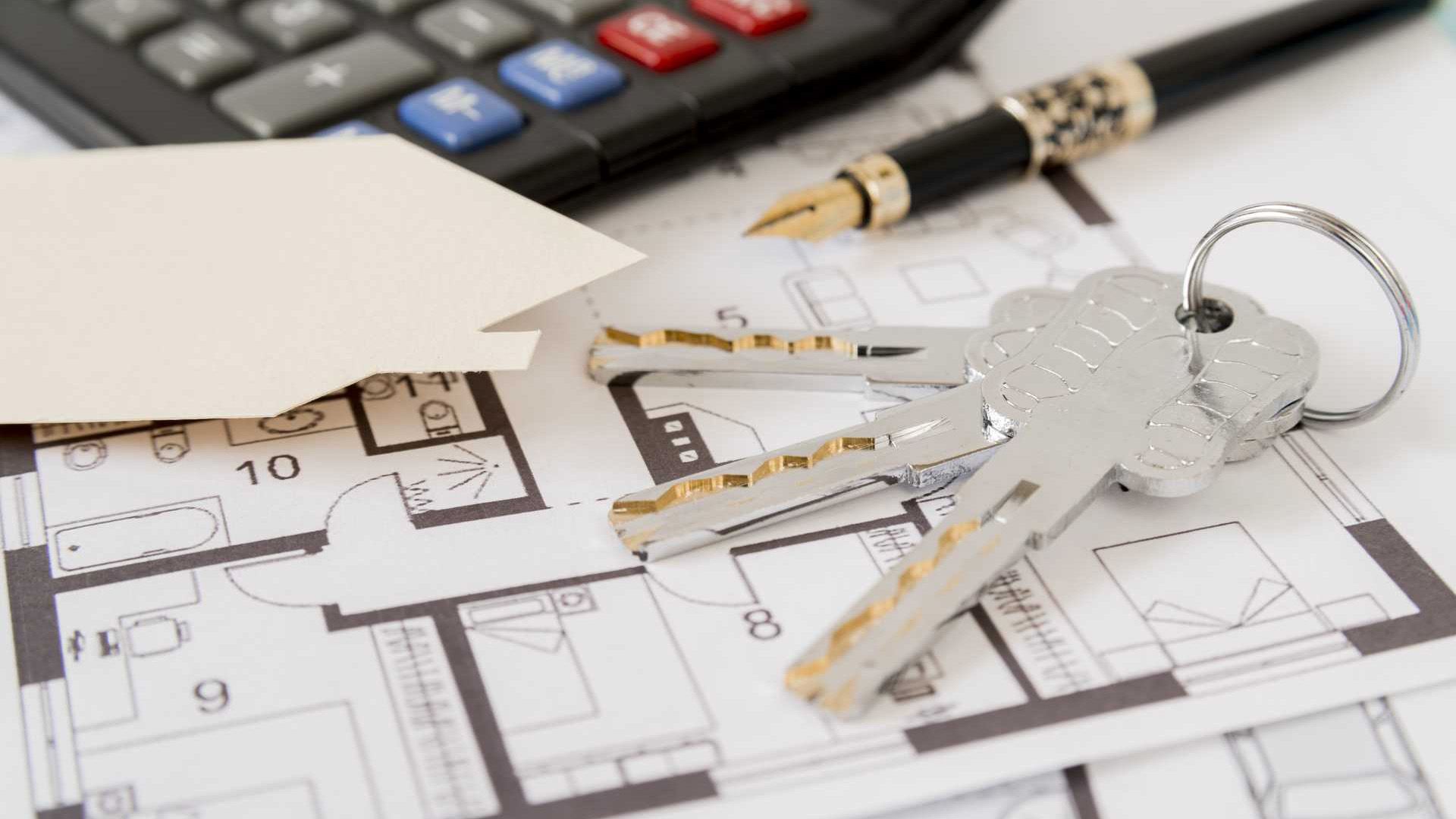 Дожить до&nbsp;лета