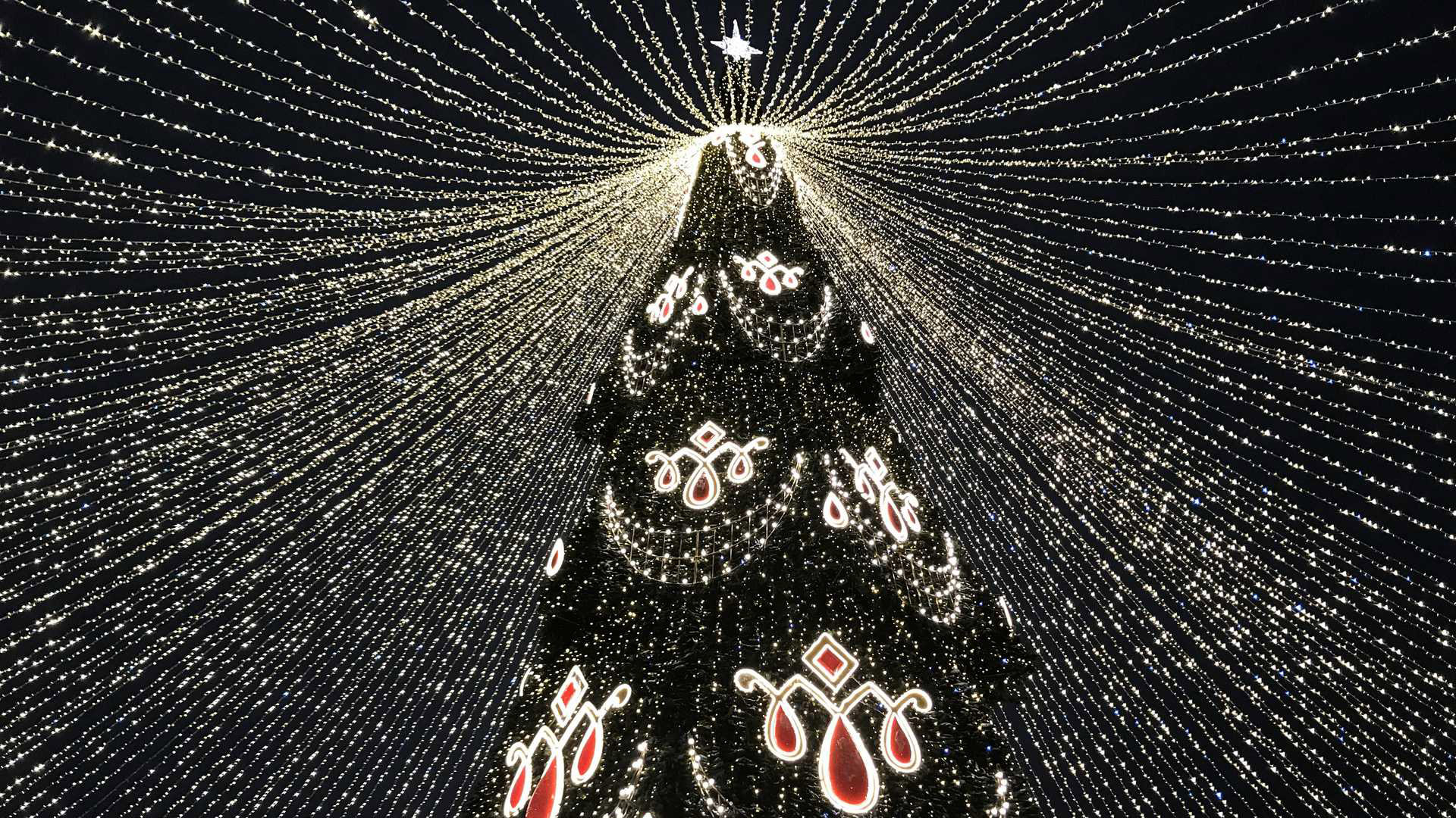 Главные сюжеты года