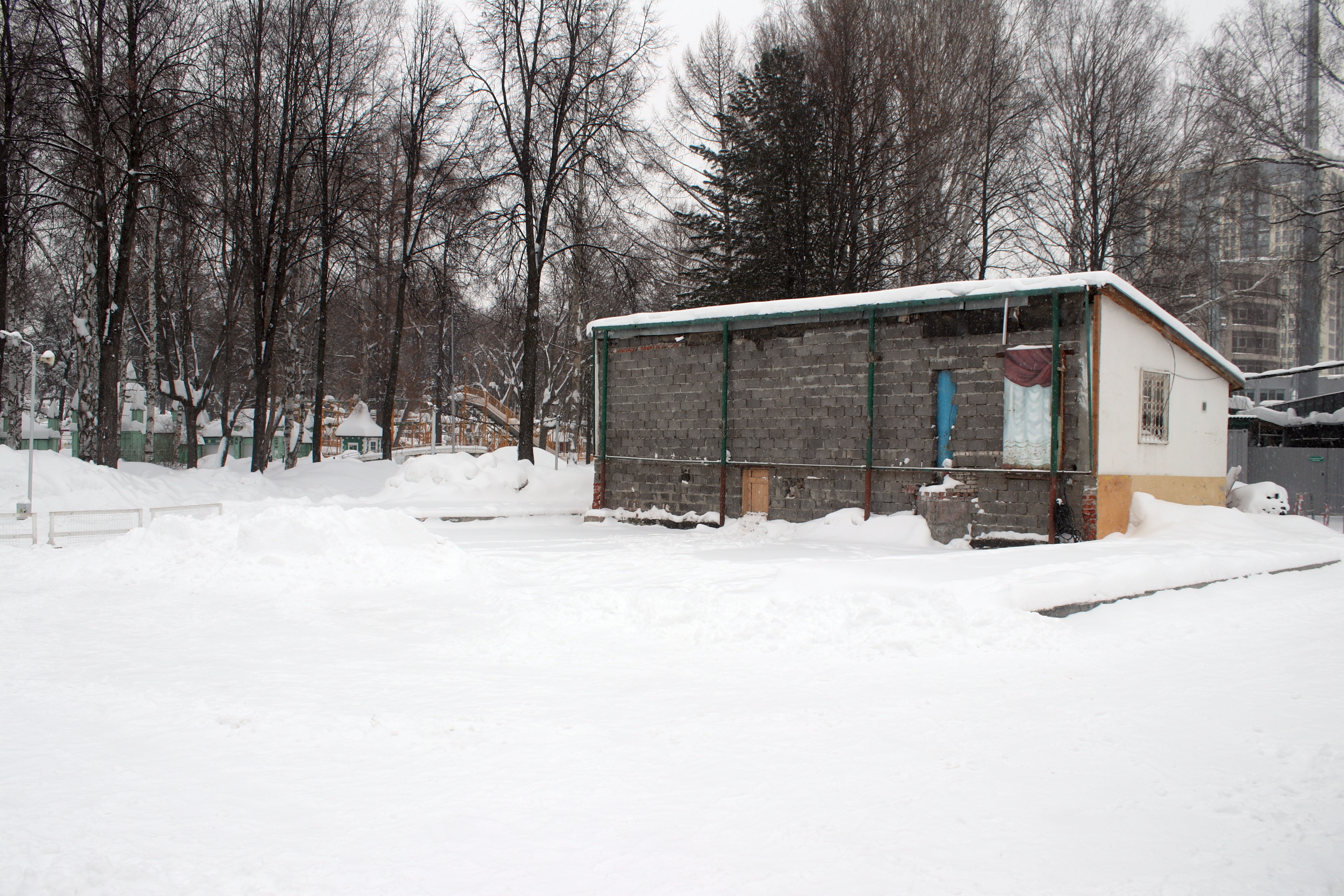 В пермском парке Горького объяснили заявление в суд об отсрочке сноса театра эстрады
