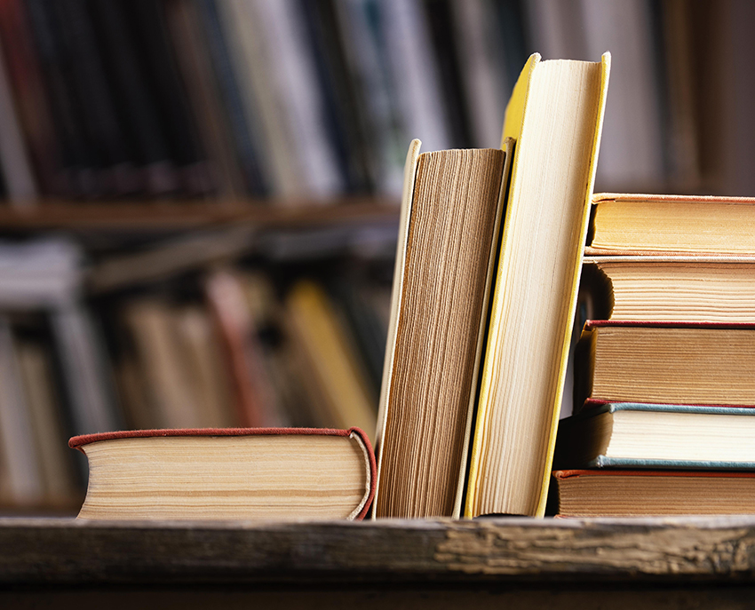 Тотальный диктант, Библионочь и лекции