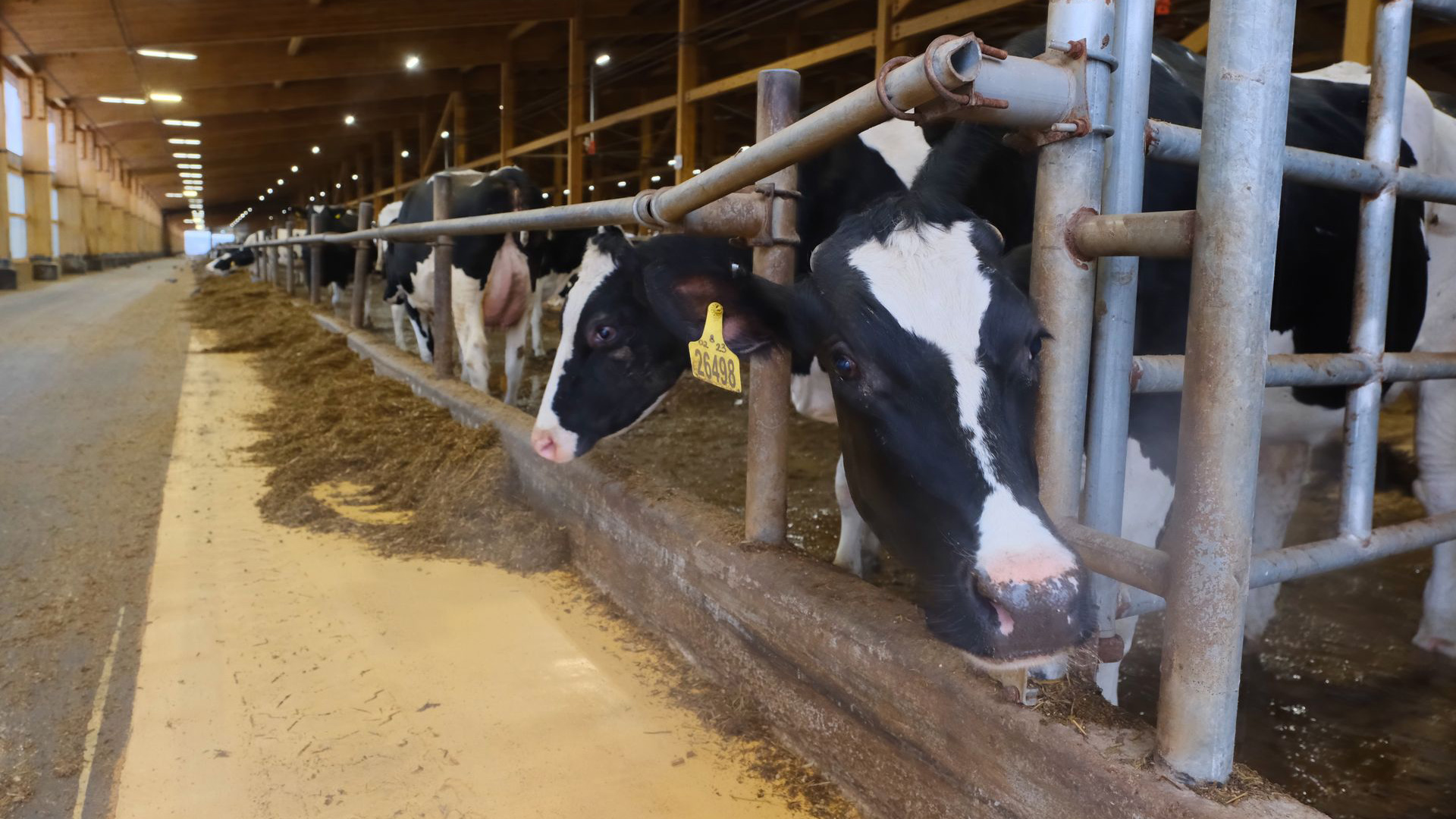 Расставили приоритеты