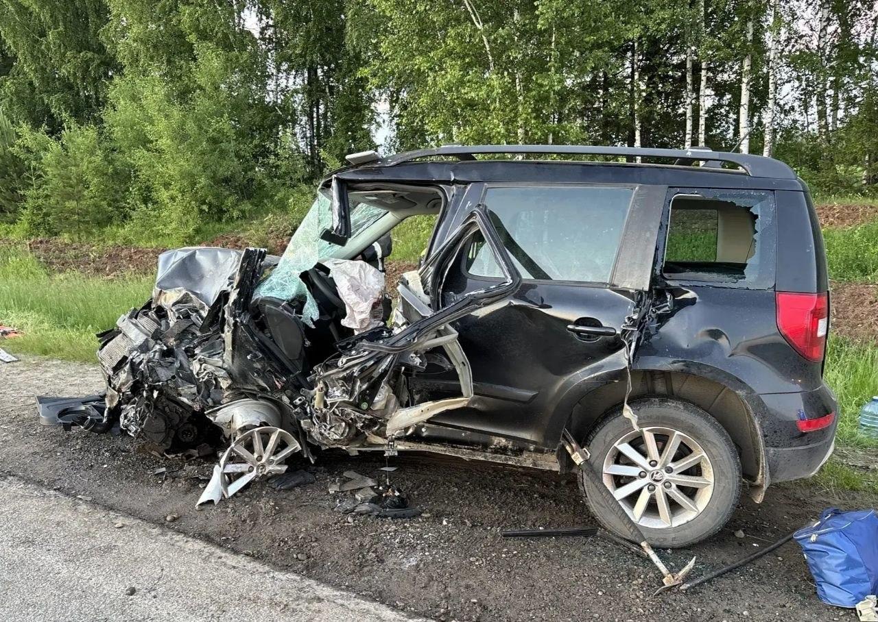 В Прикамье прокуратура контролирует расследование смертельного ДТП под Осой