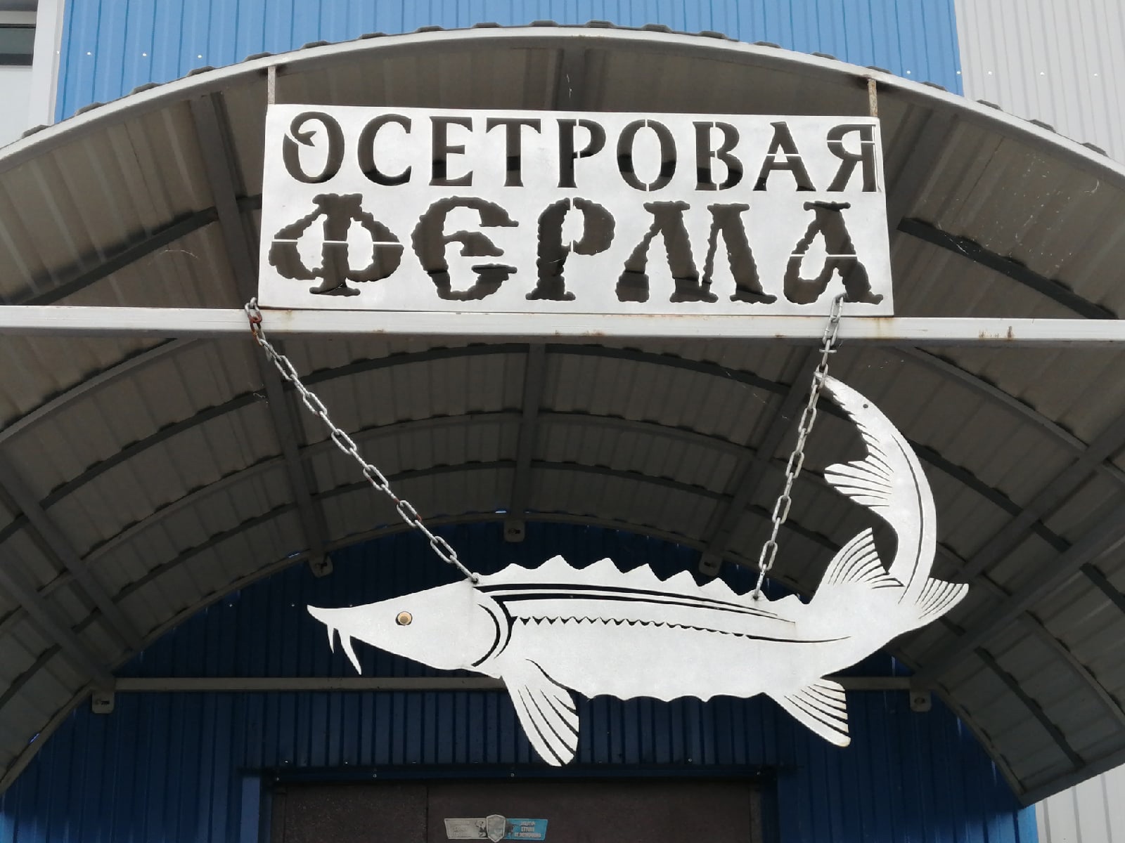 С&nbsp;добром&nbsp;— к&nbsp;людям и&nbsp;рыбам